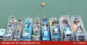 Dữ liệu số hóa khai thác thủy sản còn thiếu đồng bộ