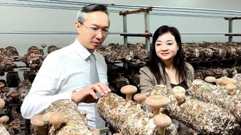 Hoàn thiện cơ chế hỗ trợ nghiên cứu, ứng dụng công nghệ