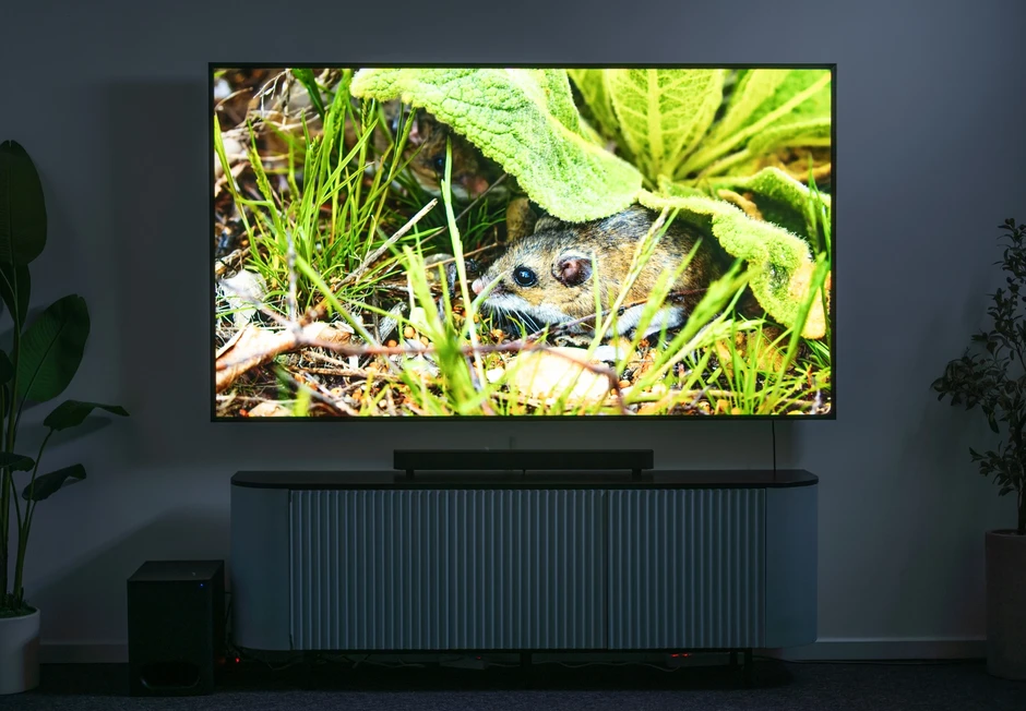 Mini LED của Sony khác gì đối thủ?