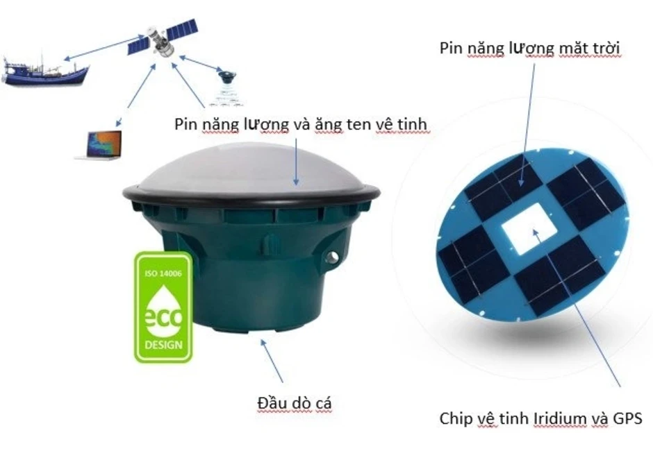 Những nghiên cứu thắng giải qua 4 mùa Sáng kiến Khoa học - Báo TinVina