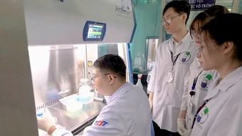 Phát hiện bất ngờ giúp nhà khoa học tạo vật liệu nano trị ung thư - Báo TinVina