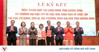 Quảng Ninh khơi dòng nhân lực số từ “3 nhà”