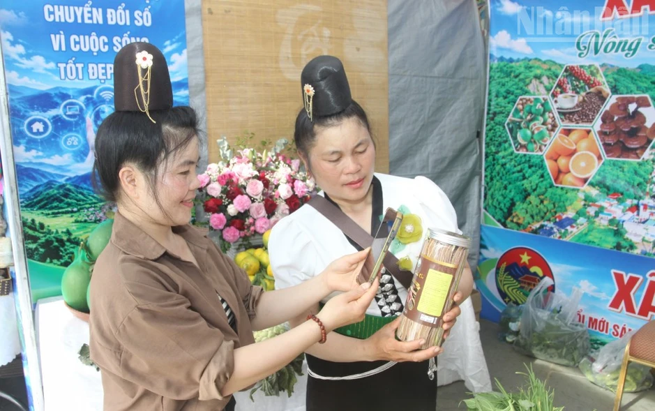 Sơn La khai mạc Ngày hội đổi mới sáng tạo và chuyển đổi số