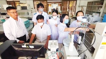Tiềm năng dược liệu từ cây ngải trắng