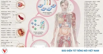 Trung Quốc lập bản đồ protein người chi tiết nhất từ ​​trước đến nay