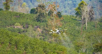 UAV giúp giảm 15-20% chi phí canh tác, tăng thu nhập nông dân thêm 9–18 triệu đồng/ha/năm