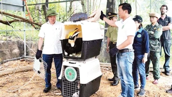 Ứng dụng công nghệ số bảo tồn đa dạng sinh học ở Phong Nha-Kẻ Bàng