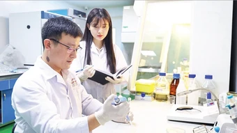 Ứng dụng dược liệu thay thế kháng sinh trong nuôi tôm