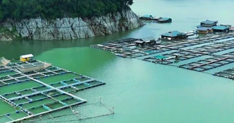 Ứng dụng khoa học cho chuỗi giá trị nông nghiệp xanh