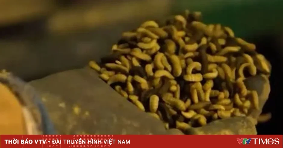 Việt Nam đang thu hút nhiều doanh nghiệp công nghệ môi trường quốc tế