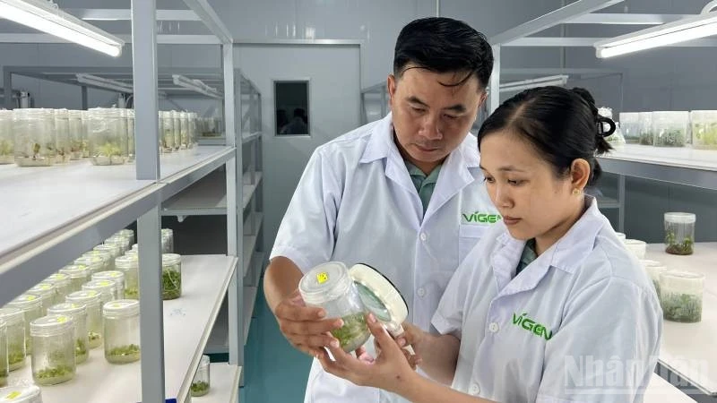 Vĩnh Long tập trung đưa khoa học-kỹ thuật vào cuộc sống Vĩnh Long tập trung đưa khoa học-kỹ thuật vào cuộc sống