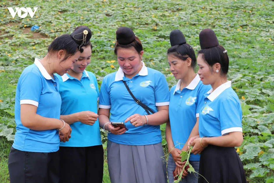 Yên Sơn lan tỏa “Bình dân học vụ số”, đưa công nghệ vào phát triển kinh tế Yên Sơn lan tỏa “Bình dân học vụ số”, đưa công nghệ vào phát triển kinh tế