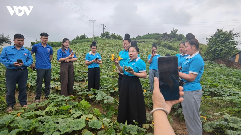 Yên Sơn lan tỏa “Bình dân học vụ số”, đưa công nghệ vào phát triển kinh tế Yên Sơn lan tỏa “Bình dân học vụ số”, đưa công nghệ vào phát triển kinh tế
