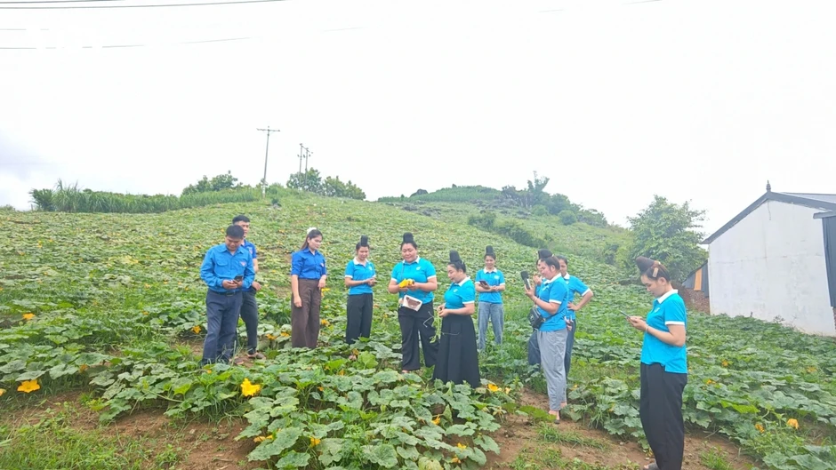 Yên Sơn lan tỏa “Bình dân học vụ số”, đưa công nghệ vào phát triển kinh tế Yên Sơn lan tỏa “Bình dân học vụ số”, đưa công nghệ vào phát triển kinh tế