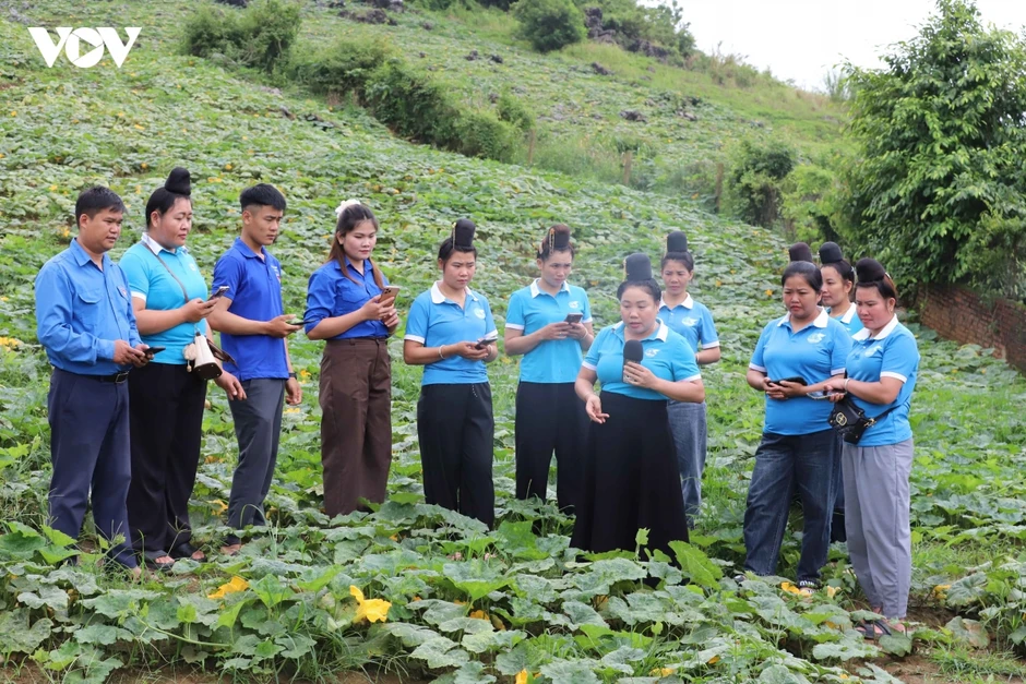 Yên Sơn lan tỏa “Bình dân học vụ số”, đưa công nghệ vào phát triển kinh tế Yên Sơn lan tỏa “Bình dân học vụ số”, đưa công nghệ vào phát triển kinh tế