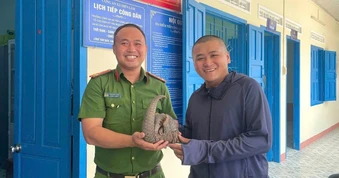 5 thanh niên ở Khánh Hòa giao nộp tê tê Java quý hiếm cho công an
