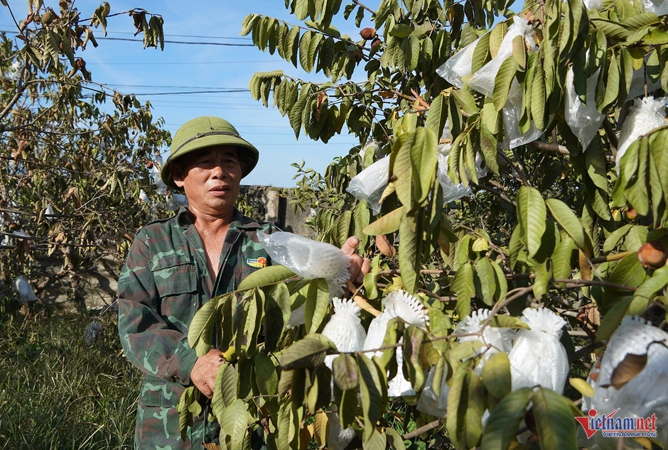 Ám ảnh những cánh đồng 'chết lâm sàng' ở miền Trung vì kiệt quệ nước Ám ảnh những cánh đồng 'chết lâm sàng' ở miền Trung vì kiệt quệ nước