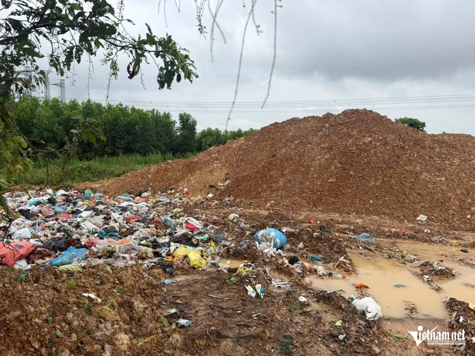 Cảnh tượng hàng trăm tấn rác ùn ứ, hợp tác xã phải đào hố chứa tạm Cảnh tượng hàng trăm tấn rác ùn ứ, hợp tác xã phải đào hố chứa tạm