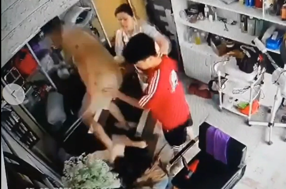 Công an vào cuộc vụ người phụ nữ ôm trẻ nhỏ bị hành hung liên tiếp ở Hà Nội Công an vào cuộc vụ người phụ nữ ôm trẻ nhỏ bị hành hung liên tiếp ở Hà Nội