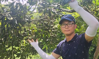 Cử nhân công nghệ mê trồng mắc ca