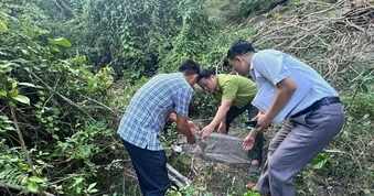 Đi làm đồng, giật mình phát hiện động vật quý hiếm nên báo công an