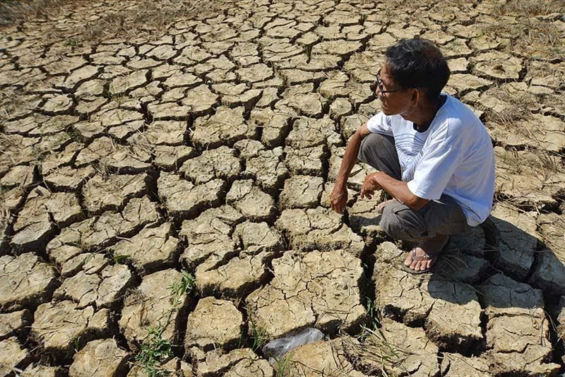 El Nino đã hình thành, Việt Nam đối mặt hạn hán và mưa lũ cực đoan El Nino đã hình thành, Việt Nam đối mặt hạn hán và mưa lũ cực đoan