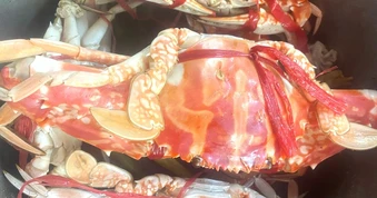 Ghẹ đỏ ngon như thế nào mà giá cả triệu đồng mỗi kilogram
