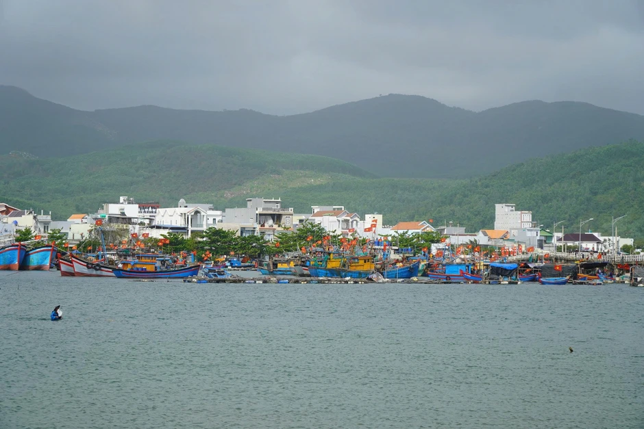 Giá dầu tăng cao, nhiều tàu cá Quảng Ngãi ngại vươn khơi Giá dầu tăng cao, nhiều tàu cá Quảng Ngãi ngại vươn khơi