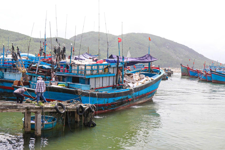 Giá dầu tăng cao, nhiều tàu cá Quảng Ngãi ngại vươn khơi Giá dầu tăng cao, nhiều tàu cá Quảng Ngãi ngại vươn khơi