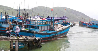 Giá dầu tăng cao, nhiều tàu cá Quảng Ngãi ngại vươn khơi