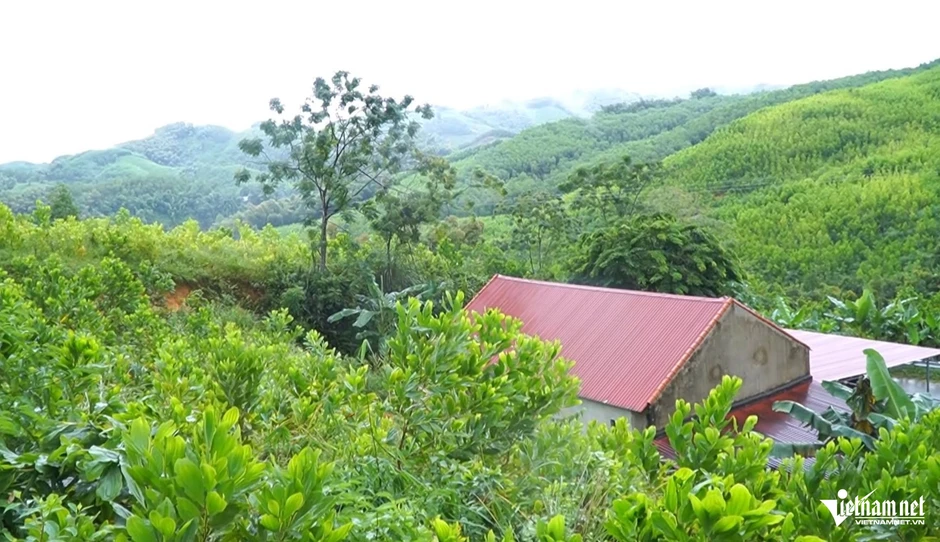 Hình ảnh vết nứt dài 200m từ trên sườn đồi khiến hàng loạt hộ dân phải di dời khẩn Hình ảnh vết nứt dài 200m từ trên sườn đồi khiến hàng loạt hộ dân phải di dời khẩn