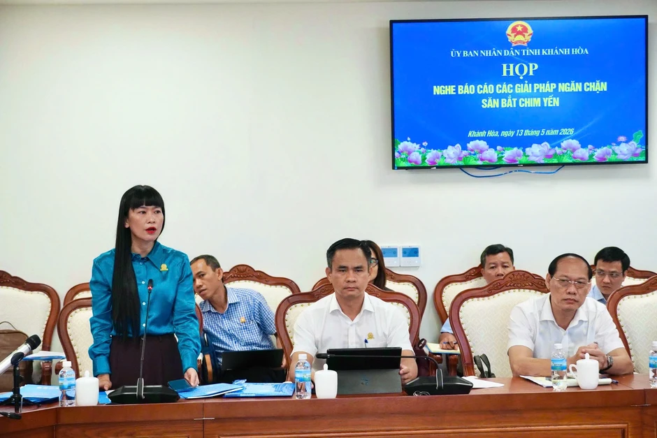 Khánh Hòa lập tổ liên ngành, mở đường dây nóng chống săn bắt chim yến Khánh Hòa lập tổ liên ngành, mở đường dây nóng chống săn bắt chim yến