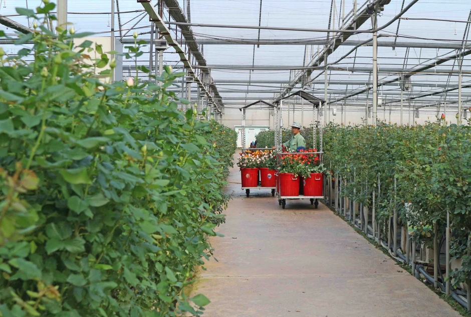 Lâm Đồng điều chỉnh quy hoạch thời kỳ 2021 - 2030, tầm nhìn 2050 có gì mới?