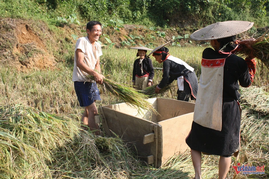 Lao động vùng DTTS Lao động vùng DTTS