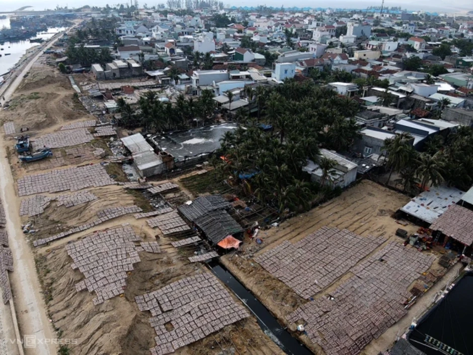 Mùi hôi chế biến mực bủa vây khu dân cư đầm Đề Gi Mùi hôi chế biến mực bủa vây khu dân cư đầm Đề Gi
