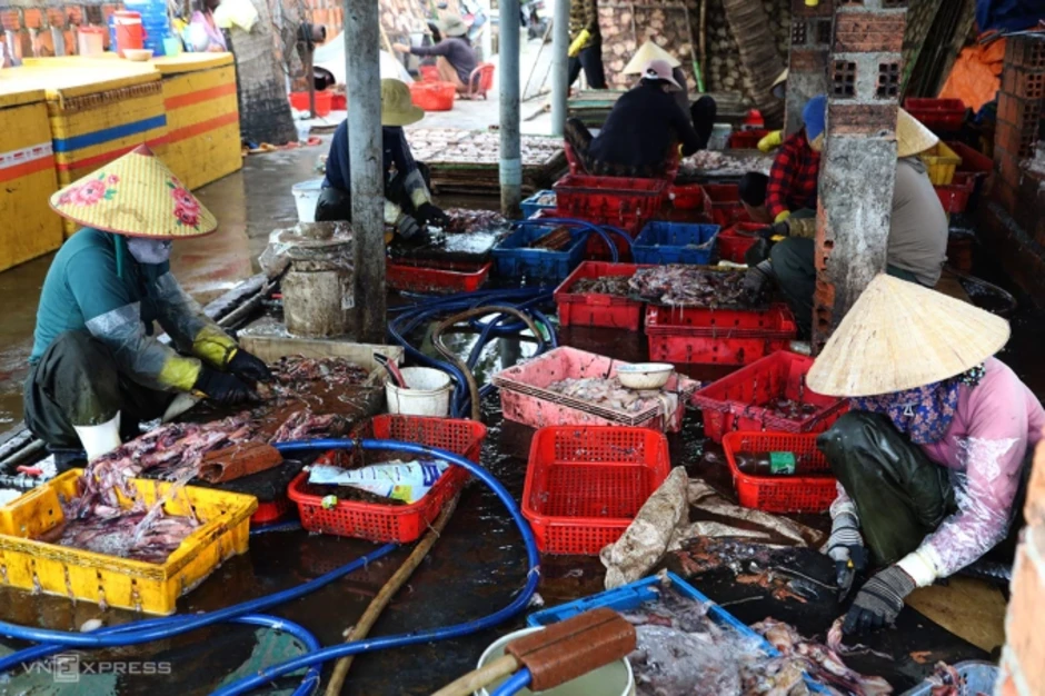 Mùi hôi chế biến mực bủa vây khu dân cư đầm Đề Gi Mùi hôi chế biến mực bủa vây khu dân cư đầm Đề Gi