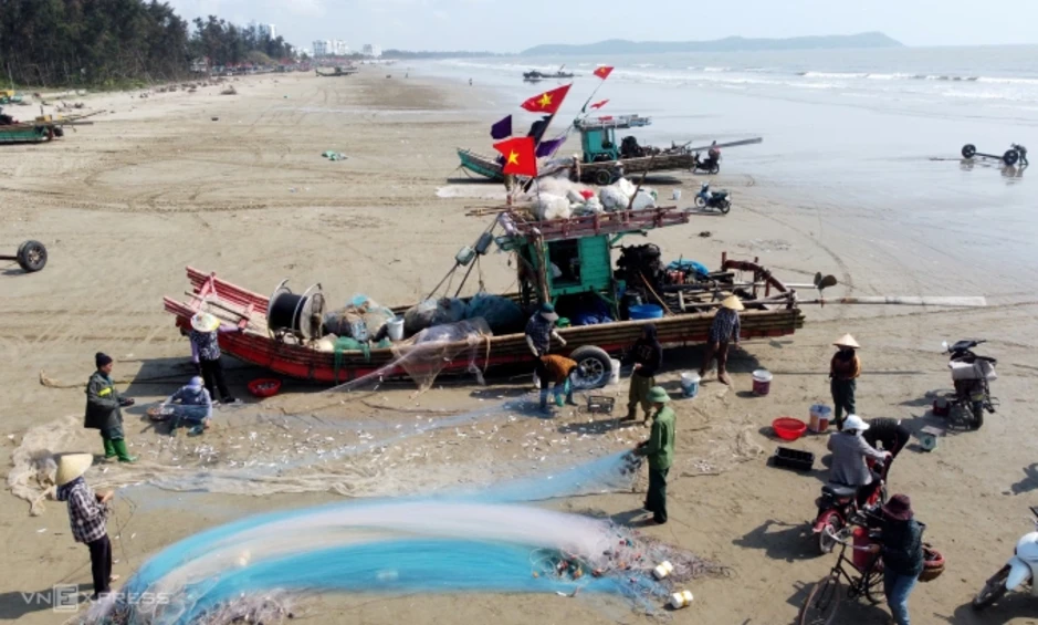 Ngư dân thu tiền triệu mỗi ngày trong mùa cá trích - Báo TinVina