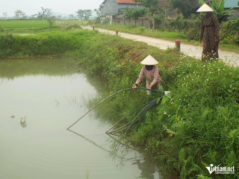 Người dân dùng nước ao hồ để sinh hoạt giữa nắng nóng gay gắt Người dân dùng nước ao hồ để sinh hoạt giữa nắng nóng gay gắt