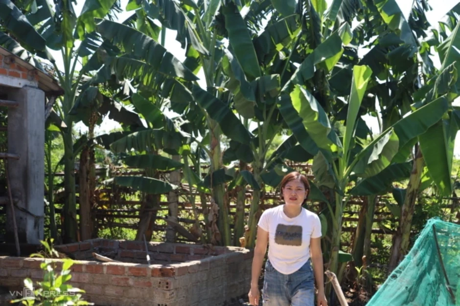 Người dân nhận vài nghìn đồng hỗ trợ thiệt hại cây trồng sau bão Người dân nhận vài nghìn đồng hỗ trợ thiệt hại cây trồng sau bão