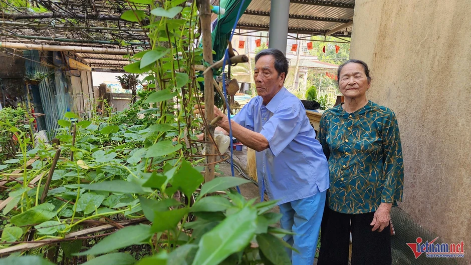 Người đàn ông may lá cờ Tổ quốc nơi giới tuyến Hiền Lương Người đàn ông may lá cờ Tổ quốc nơi giới tuyến Hiền Lương