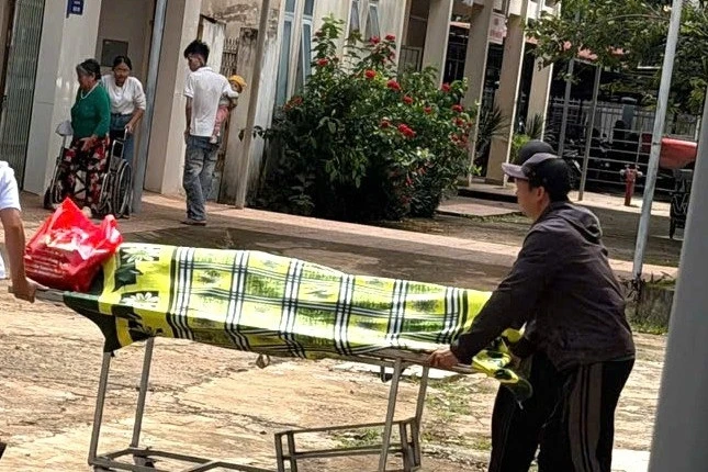 Người đàn ông tử vong khi trèo cây cắt sầu riêng thuê Người đàn ông tử vong khi trèo cây cắt sầu riêng thuê