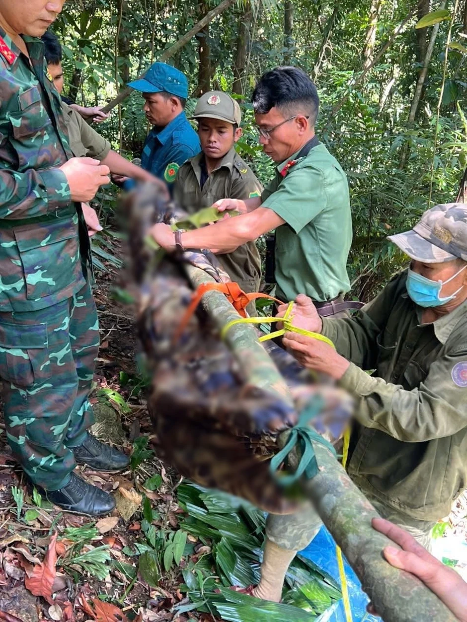 Người đàn ông tử vong trên cây cao 40m, nghi do đột quỵ Người đàn ông tử vong trên cây cao 40m, nghi do đột quỵ