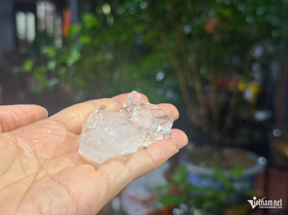 Người Hà Nội bất ngờ khi thấy mưa đá trút xuống ầm ầm Người Hà Nội bất ngờ khi thấy mưa đá trút xuống ầm ầm