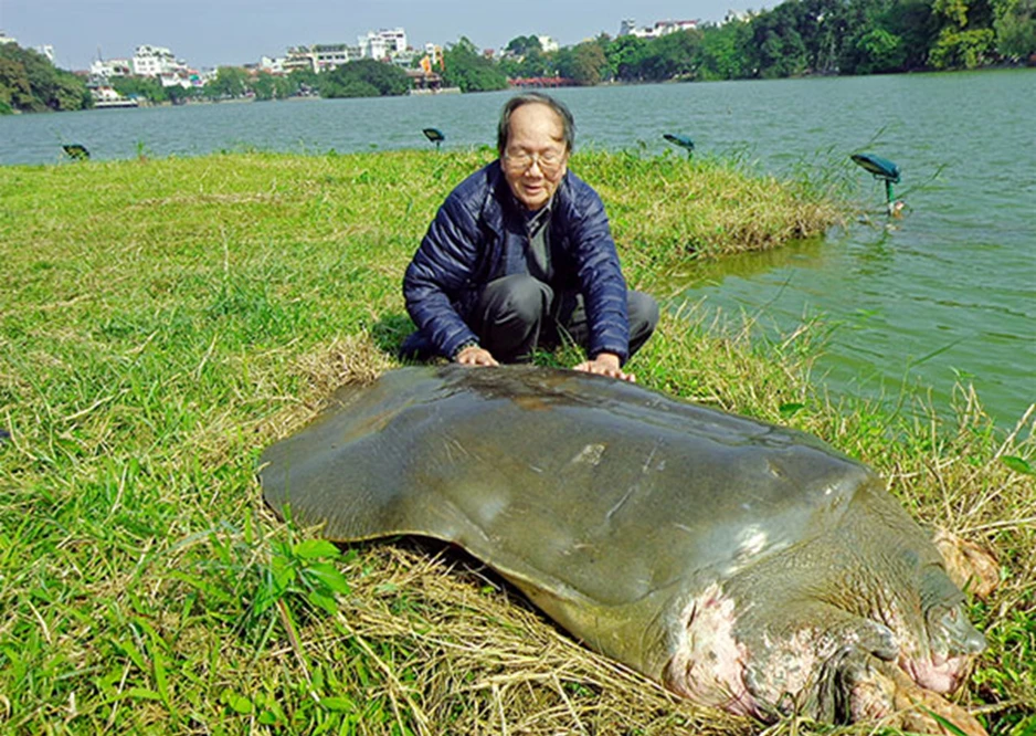 'Nhà rùa học' PGS.TS Hà Đình Đức qua đời 'Nhà rùa học' PGS.TS Hà Đình Đức qua đời