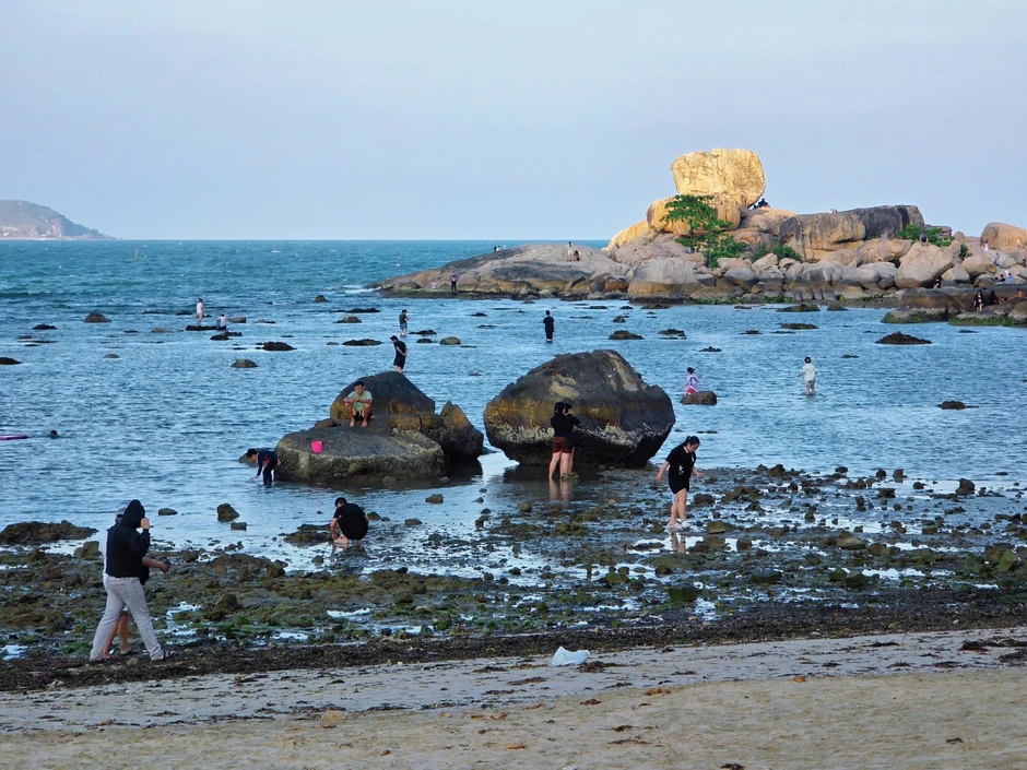 Nha Trang khoanh vùng bảo vệ rạn san hô Hòn Chồng - Đặng Tất