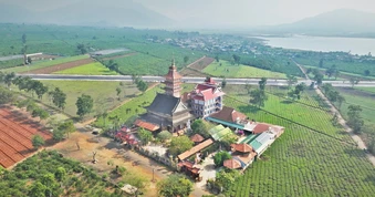 Thu không đủ trả tiền công, làm sao giữ vùng chè Biển Hồ?