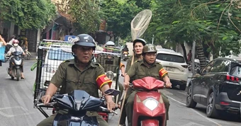 Tổ bắt chó thả rông ở Hà Nội liên tục đổi giờ tuần tra để xử lý vi phạm