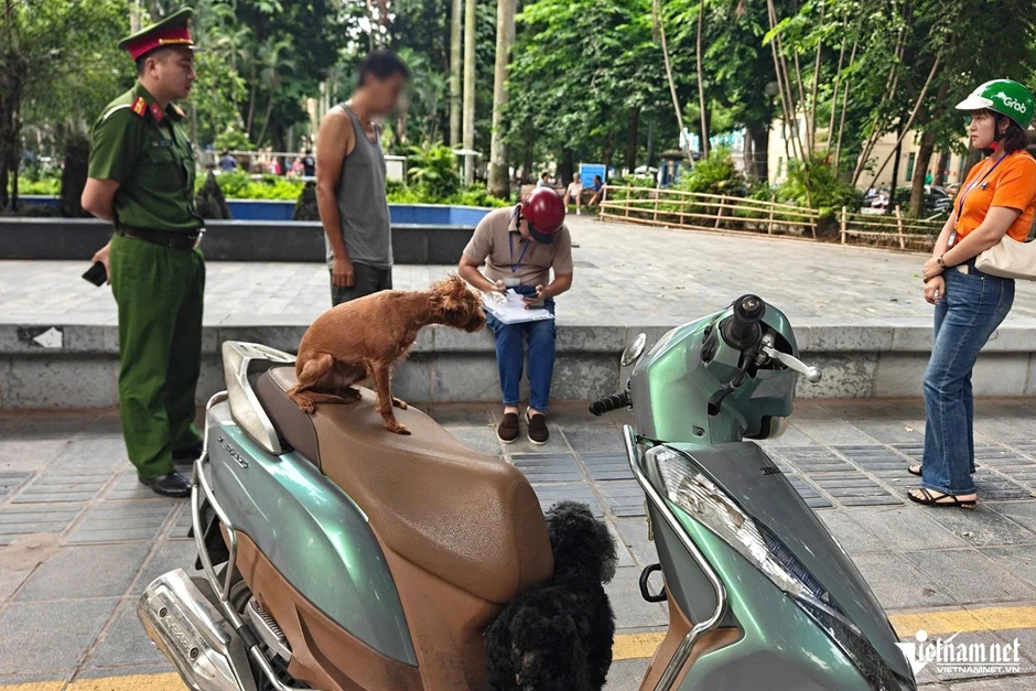 Tổ bắt chó thả rông ở Hà Nội liên tục đổi giờ tuần tra để xử lý vi phạm Tổ bắt chó thả rông ở Hà Nội liên tục đổi giờ tuần tra để xử lý vi phạm
