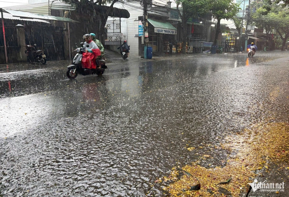 TPHCM đón 'mưa vàng' hạ nhiệt sau chuỗi ngày nắng nóng kỷ lục TPHCM đón 'mưa vàng' hạ nhiệt sau chuỗi ngày nắng nóng kỷ lục