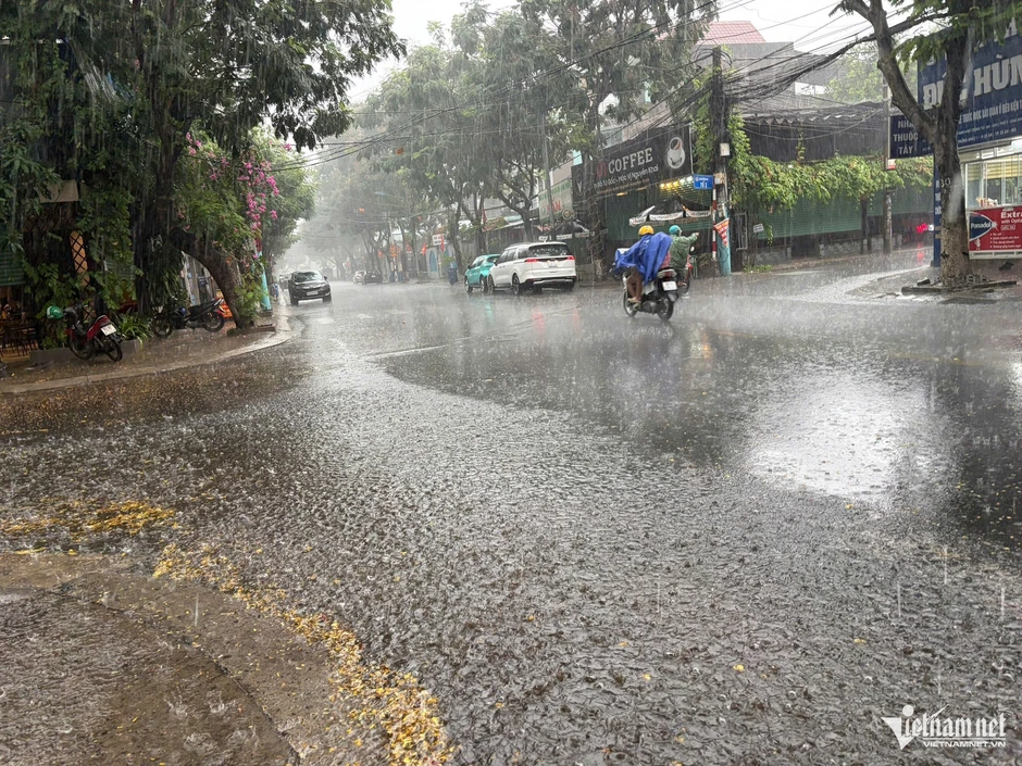 TPHCM đón 'mưa vàng' hạ nhiệt sau chuỗi ngày nắng nóng kỷ lục TPHCM đón 'mưa vàng' hạ nhiệt sau chuỗi ngày nắng nóng kỷ lục